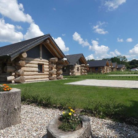 Naturstammhaus Tollensesee Groß Nemerow المظهر الخارجي الصورة