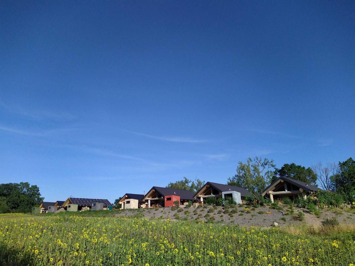 Naturstammhaus Tollensesee Groß Nemerow المظهر الخارجي الصورة